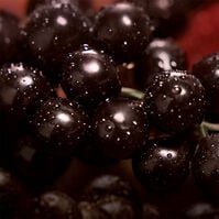 MY EUPHORIA  100ml-215524 MY EUPHORIA  100ml-215524 4